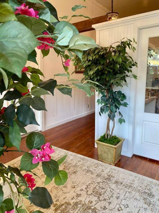The Shopkeeper'S Cottage ~ Chic! Amador City Esterno foto